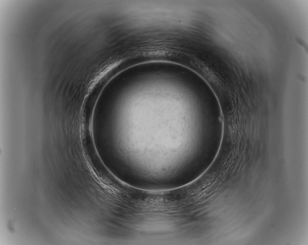 X0000098160728200804171558