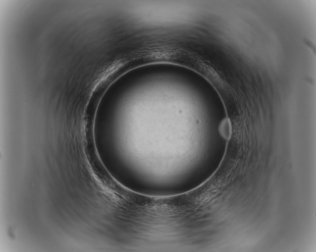 X0000098160730200804171558