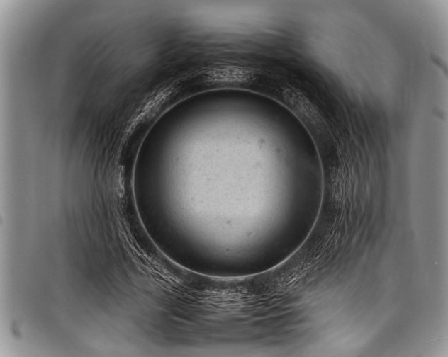 X0000098160731200804171558