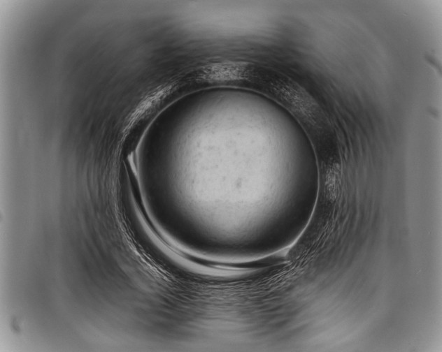 X0000098160732200804171558