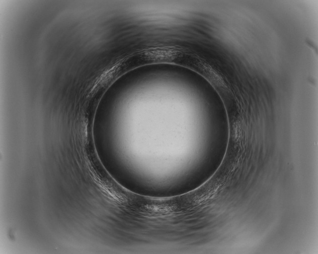 X0000098160733200804171558