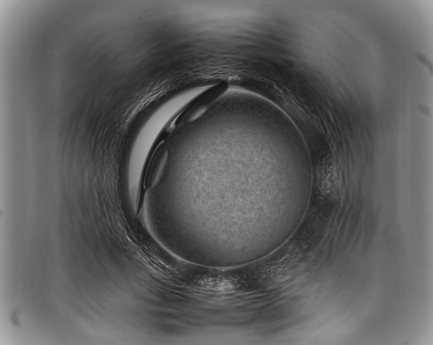 X0000098160735200804171558