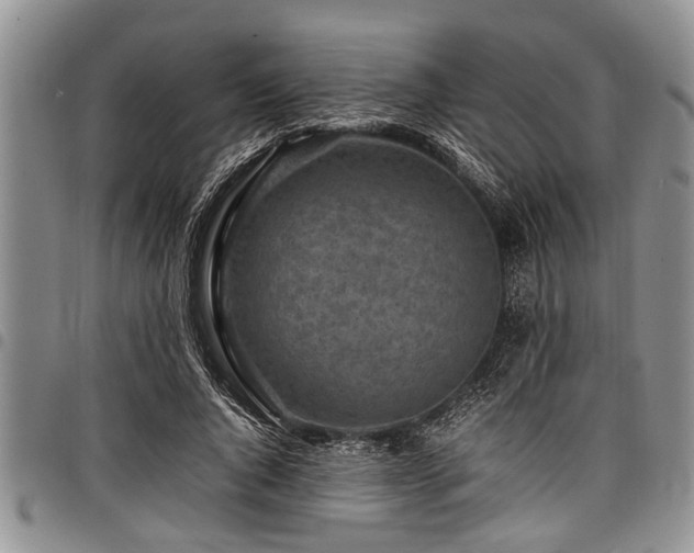 X0000098160736200804171558