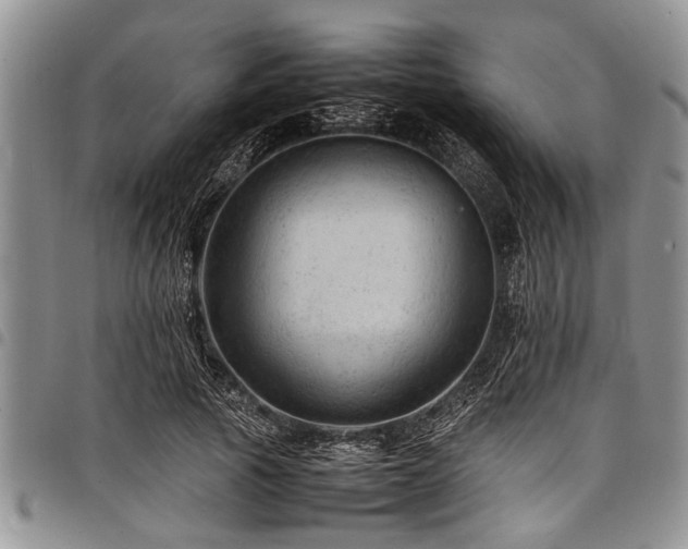 X0000098160737200804171558