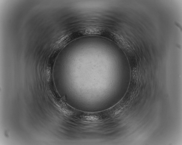 X0000098160741200804171559