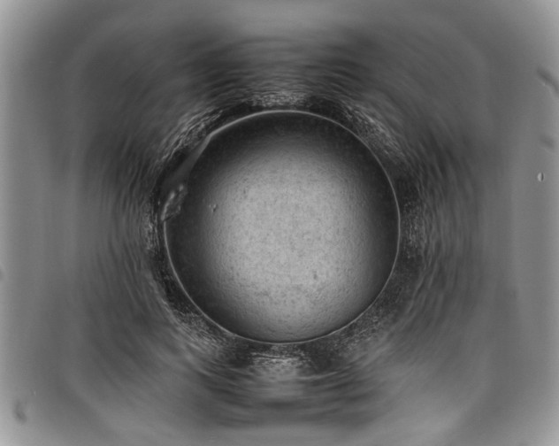 X0000098160743200804171559