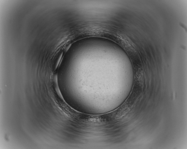 X0000098160744200804171559