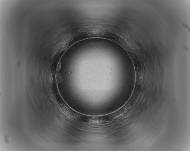 X0000098160746200804171559