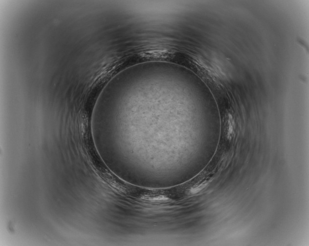 X0000098160747200804171559