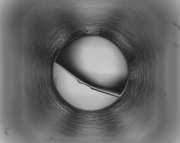X0000098160748200804171559
