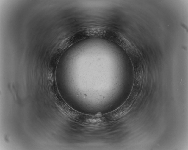 X0000098160749200804171559