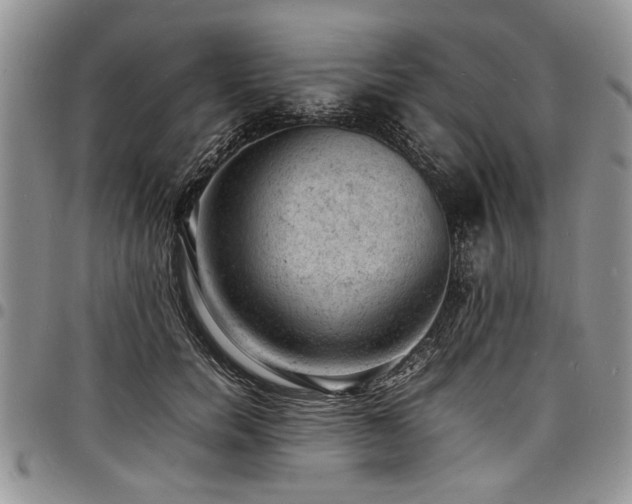 X0000098160750200804171559