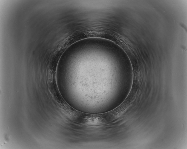 X0000098160751200804171559