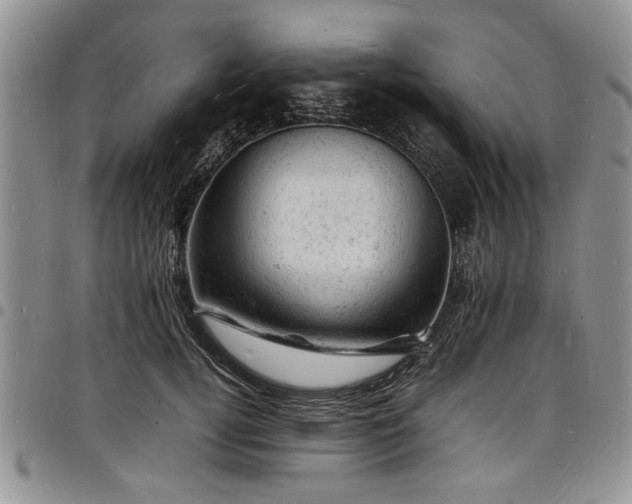 X0000098160752200804171559