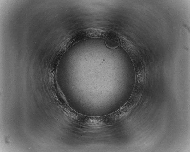 X0000098160753200804171559