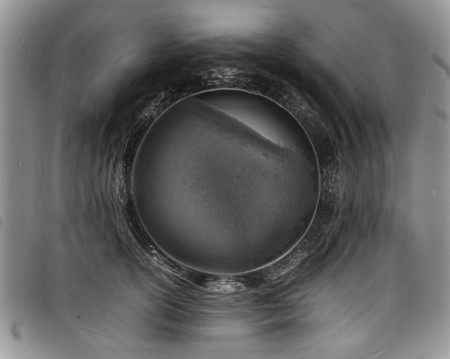 X0000098160754200804171559