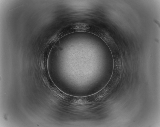 X0000098160755200804171559