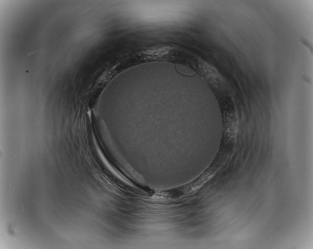 X0000098160758200804171559