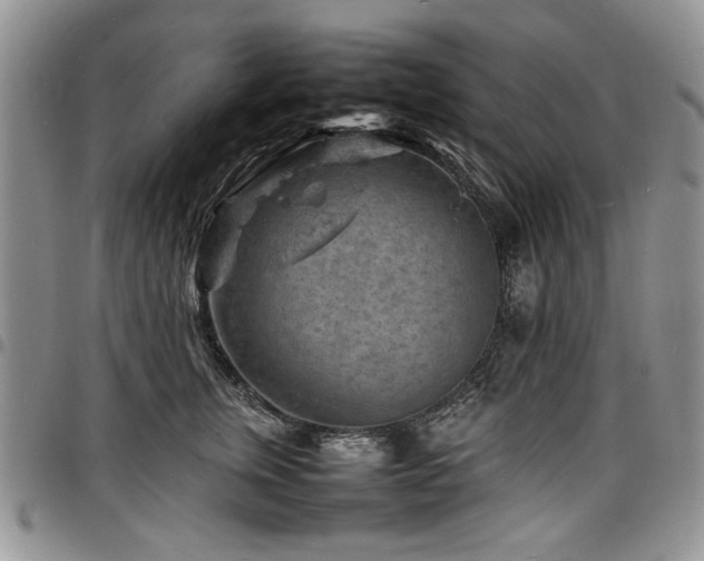 X0000098160759200804171559