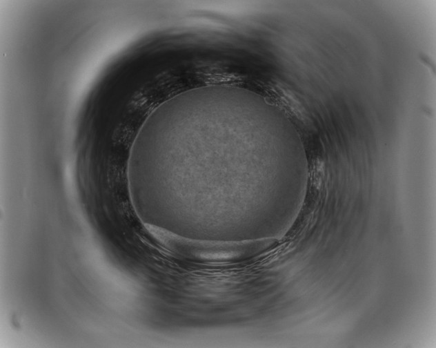 X0000098160763200804171559