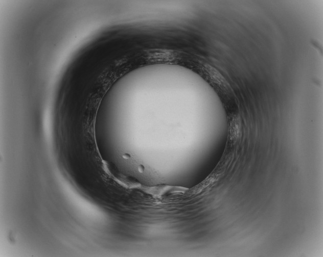X0000098160764200804171559