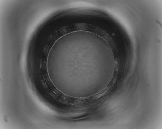 X0000098160765200804171559