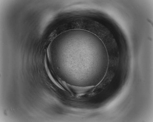 X0000098160766200804171559