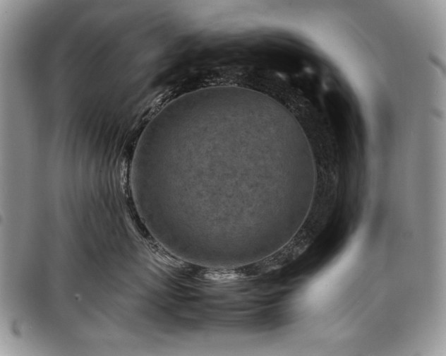 X0000098160767200804171559