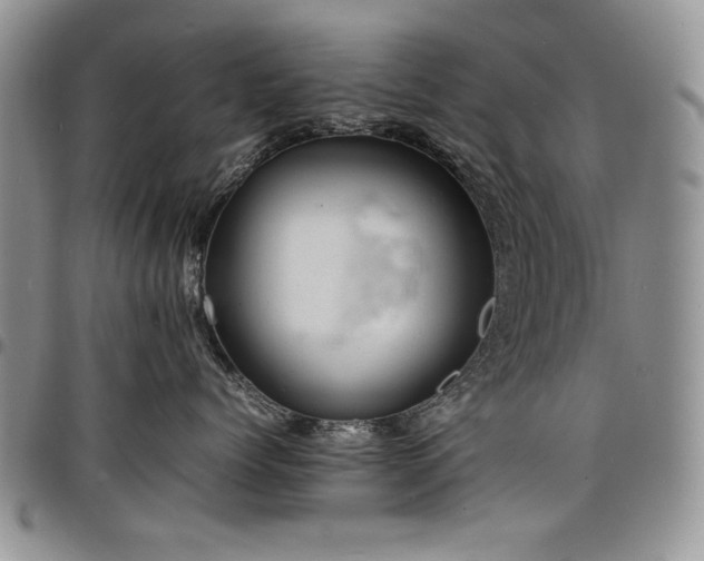 X0000098160768200804171559