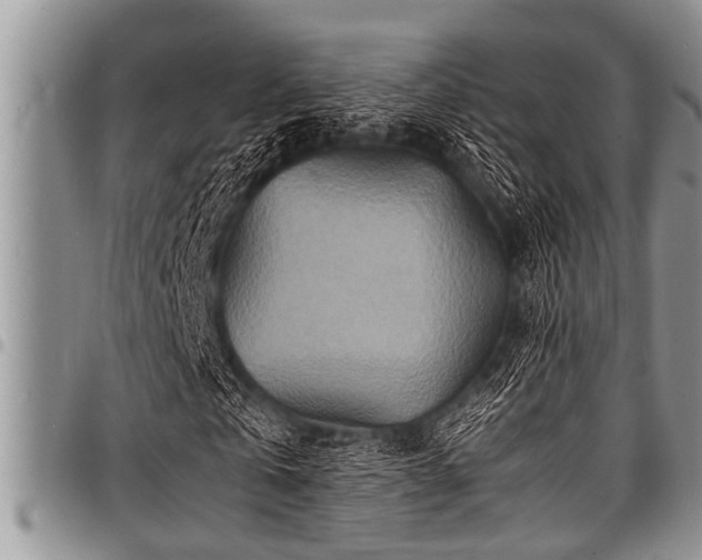X0000098160769200804171558