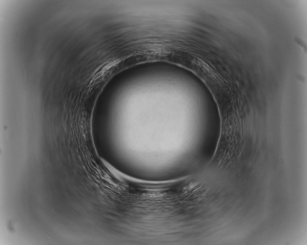 X0000098160773200804171558