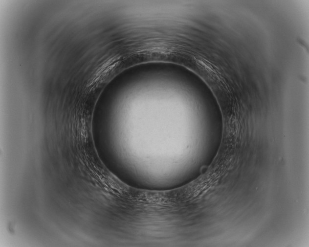 X0000098160774200804171558