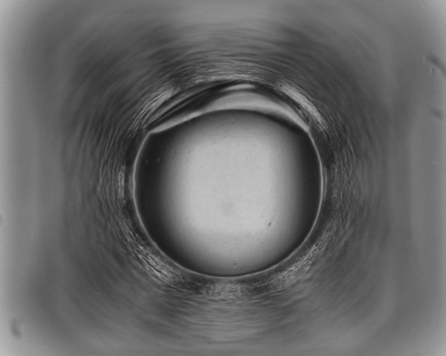 X0000098160777200804171558