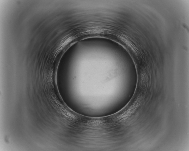 X0000098160778200804171558