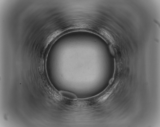 X0000098160781200804171558