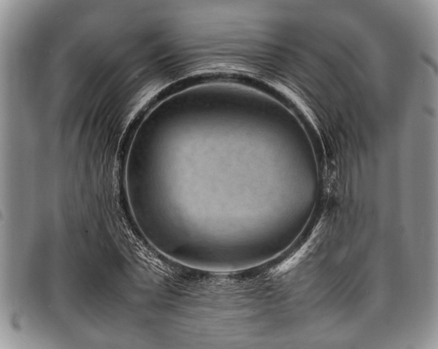 X0000098160783200804171558