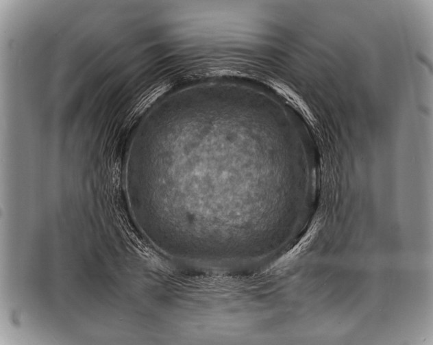 X0000098160785200804171558