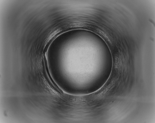X0000098160786200804171558