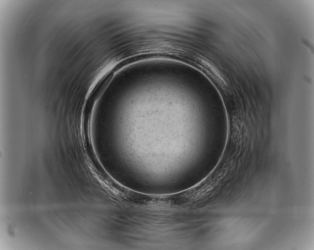X0000098160788200804171558
