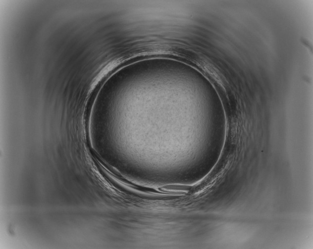 X0000098160789200804171558