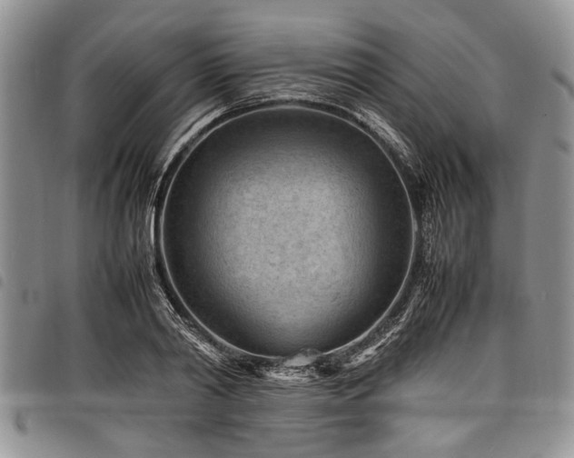 X0000098160790200804171558