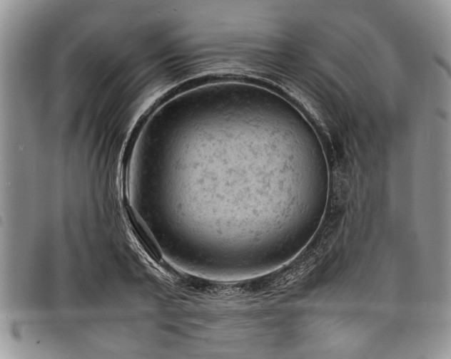 X0000098160791200804171558