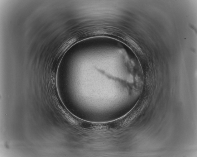 X0000098160793200804171558
