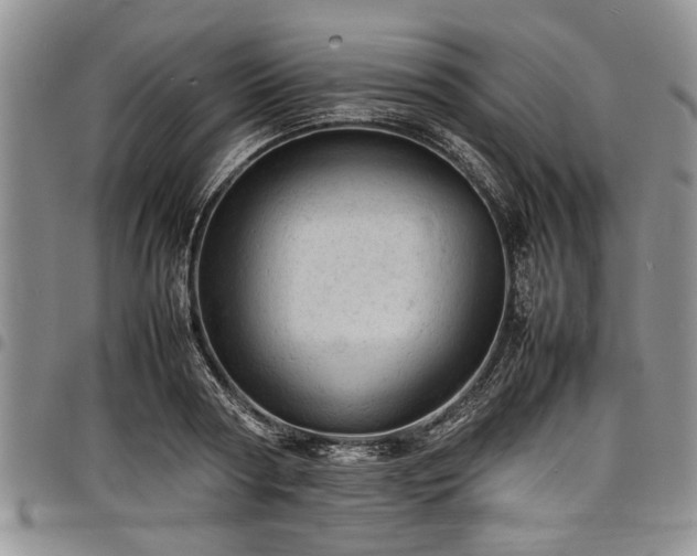 X0000098160794200804171558