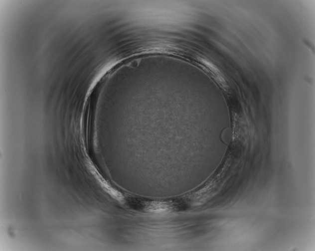 X0000098160796200804171558