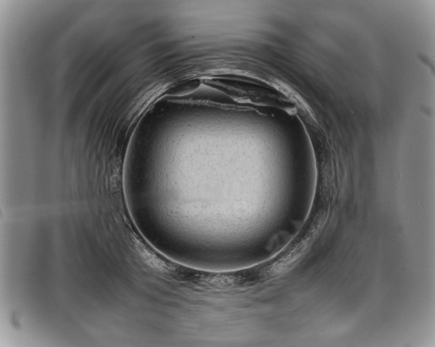X0000098160801200804171558
