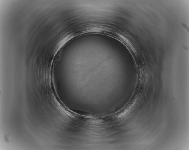 X0000098160802200804171558