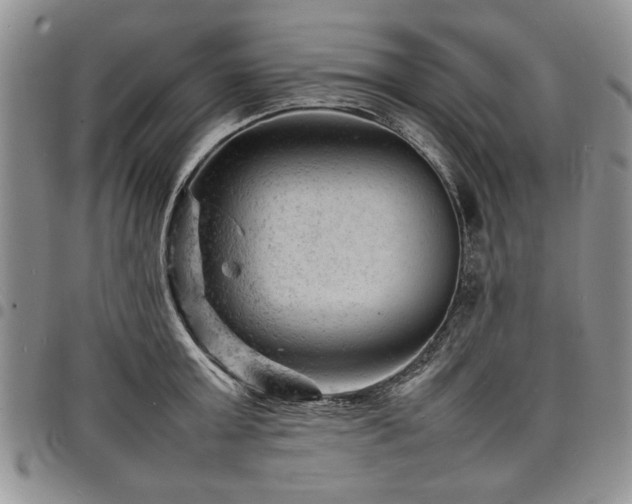 X0000098160803200804171557