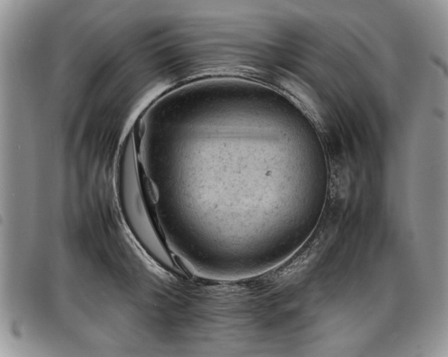 X0000098160804200804171557