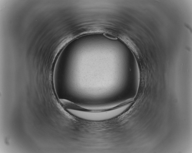 X0000098160805200804171557